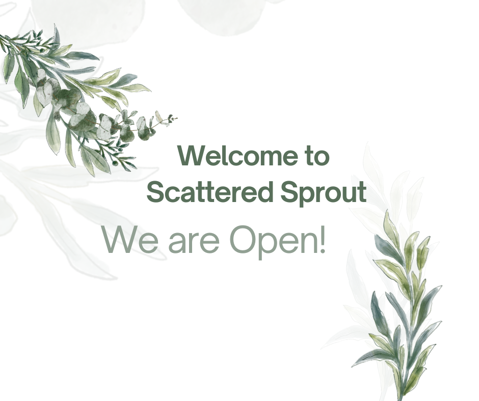 Welcome to Scattered Sprout!