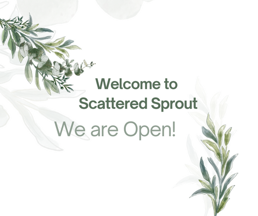 Welcome to Scattered Sprout!